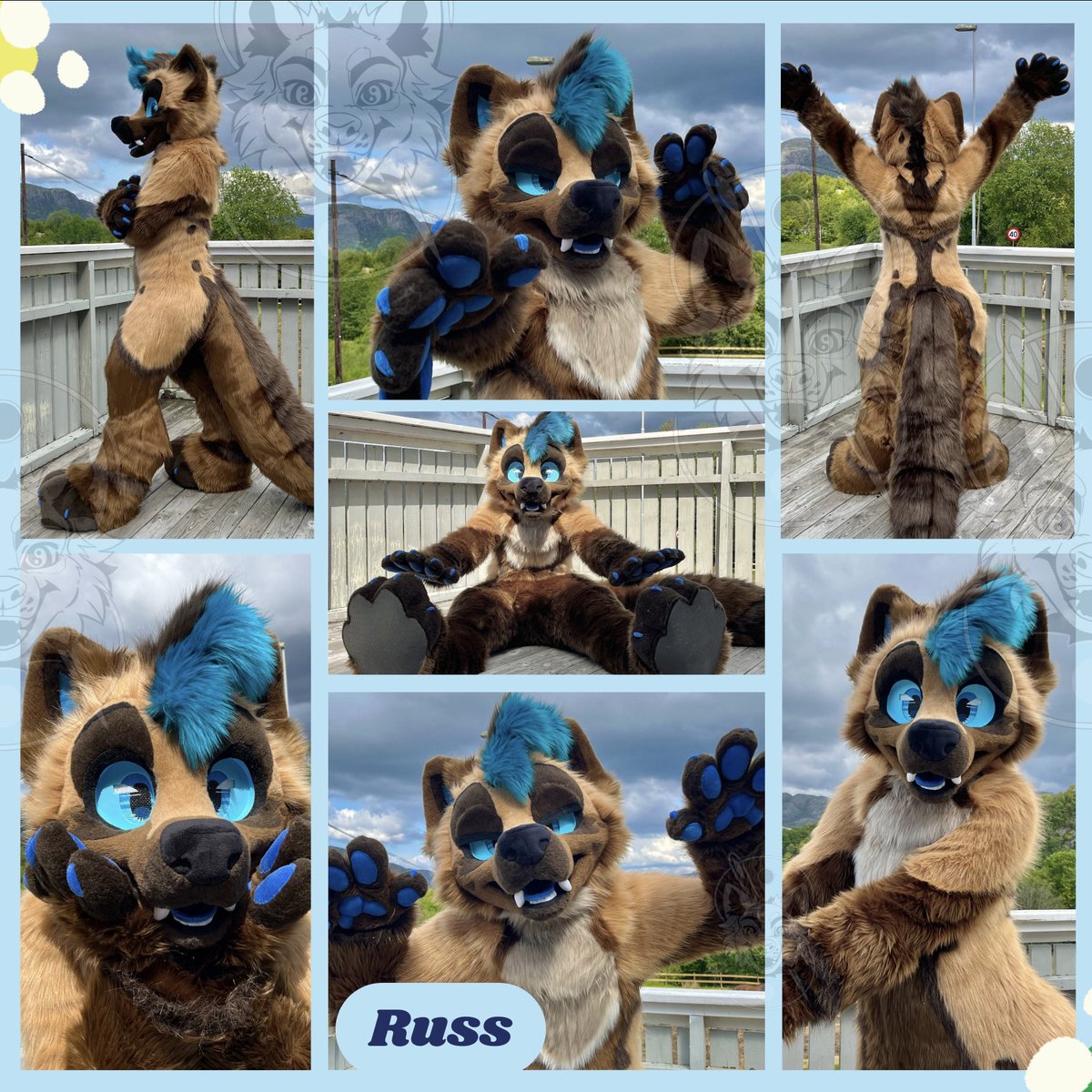 Watch out! This marten is roamin’ around 👀