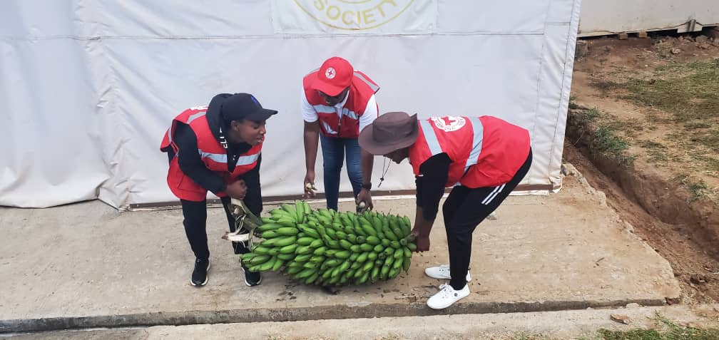 Atwongire Solomon (@atwongiresolom2) on Twitter photo Impressed by our green thumb, Our friends from Netherlands visit <a href="/UgandaRedCross/">Uganda Red Cross Society</a>, Mbarara Branch, and admire our backyard garden's bounty, including freshly harvested matooke. A testament to our commitment to food security and sustainability! <a href="/DrBrianBilalK/">Mwebaze Kanaahe™ Dr.PH</a>
#FoodSecurity Impressed by our green thumb, Our friends from Netherlands visit <a href="/UgandaRedCross/">Uganda Red Cross Society</a>, Mbarara Branch, and admire our backyard garden's bounty, including freshly harvested matooke. A testament to our commitment to food security and sustainability! <a href="/DrBrianBilalK/">Mwebaze Kanaahe™ Dr.PH</a>
#FoodSecurity
