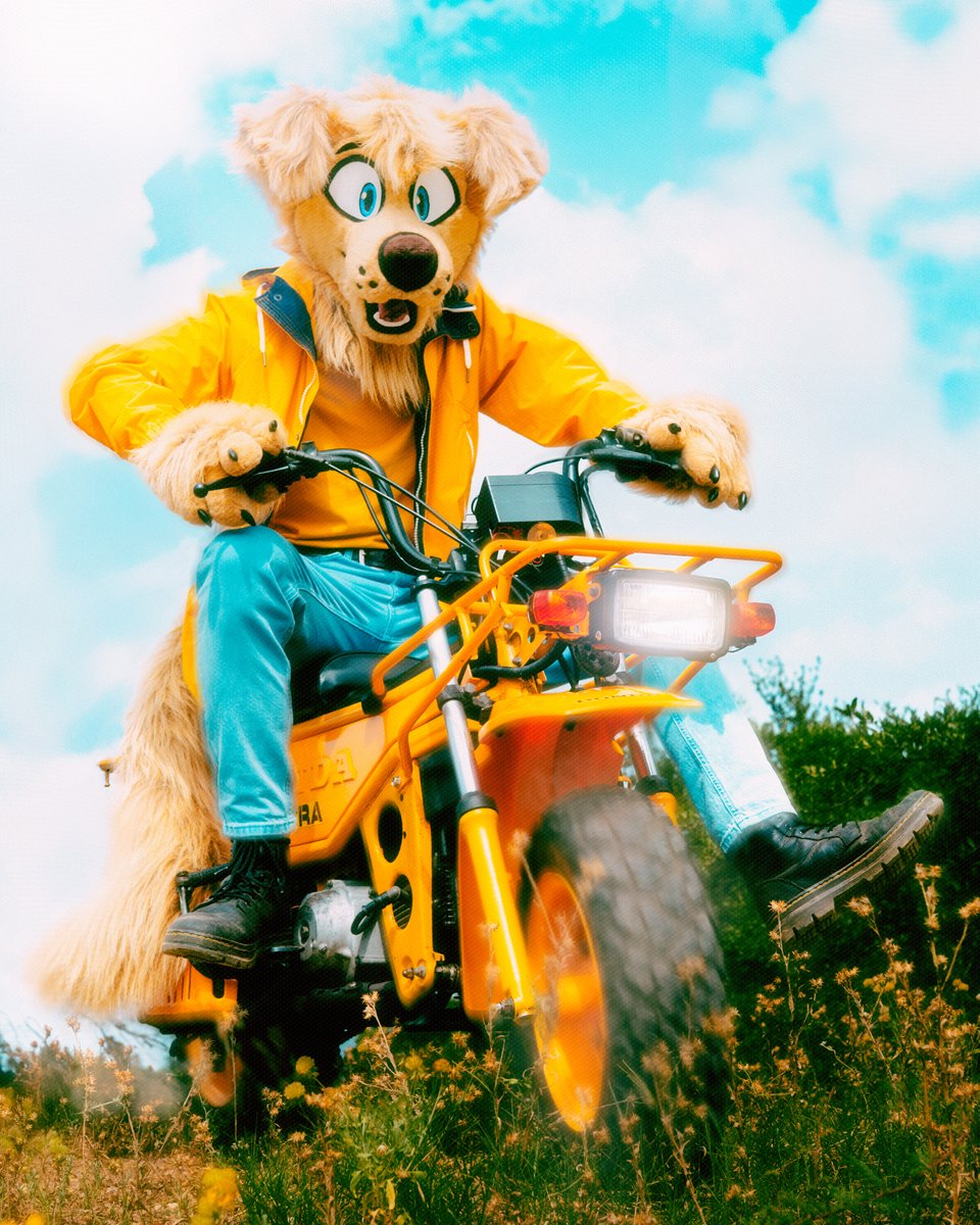 WEEEEEEEEEEEE

📷: <a href="/YLKujo/">ᴄᴏʏᴏᴛᴇᄅ 🎶</a> 
Editing by me