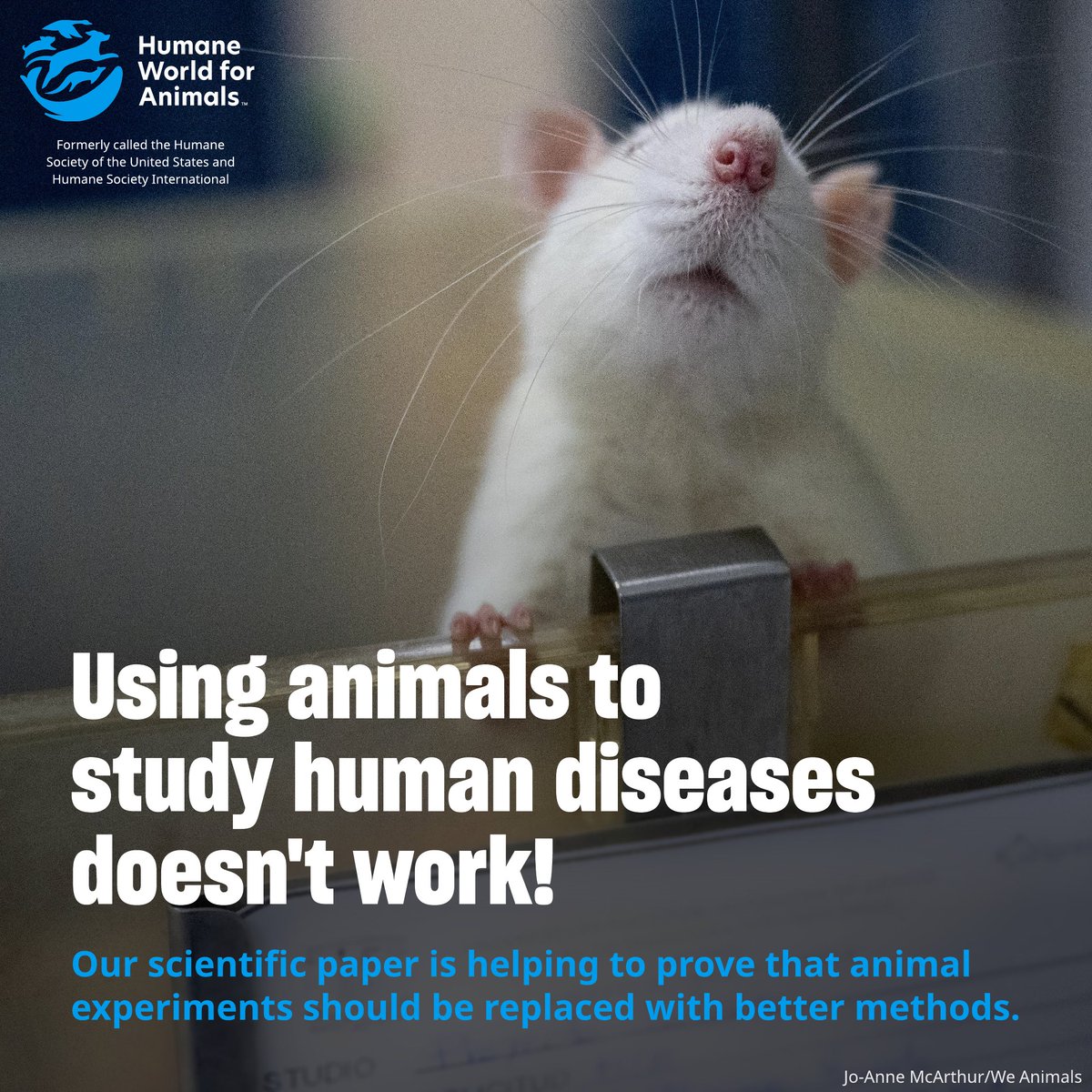 Humane World End Animal Testing (@humaneworldeat) on Twitter photo Our scientific paper—which shows how experiments have failed to recreate human diseases in animals—was cited by the <a href="/US_FDA/">U.S. FDA</a> to help explain why animal tests should be replaced with methods focused on human biology. It's also been downloaded 500+ times!
➡️journals.sagepub.com/doi/10.1177/02… Our scientific paper—which shows how experiments have failed to recreate human diseases in animals—was cited by the <a href="/US_FDA/">U.S. FDA</a> to help explain why animal tests should be replaced with methods focused on human biology. It's also been downloaded 500+ times!
➡️journals.sagepub.com/doi/10.1177/02…