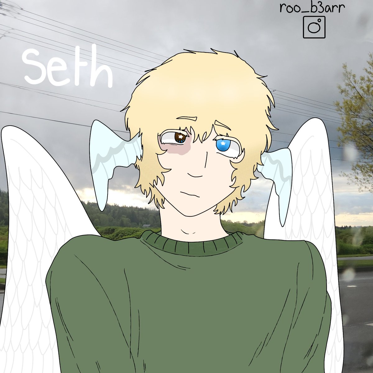 Name: Seth 

Species: Celestial Being (Angel)

Age: 26