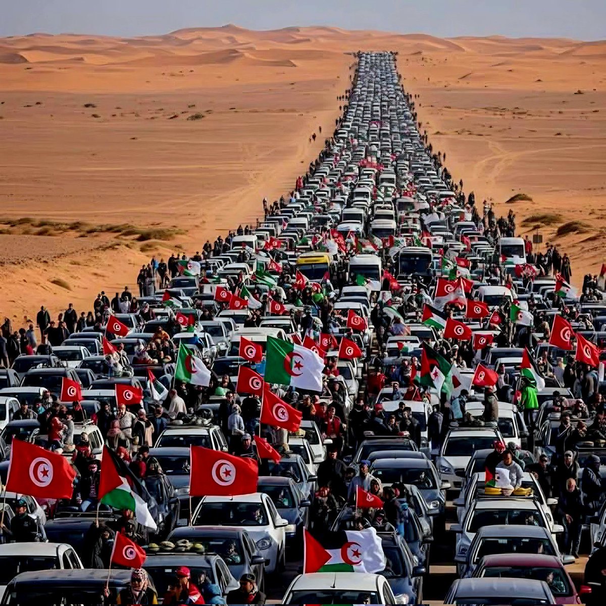 ___Cavus__Esra_'s tweet photo. Allah hepinizden razı olsun..
Rabbim adımlarınıza bin sevap versin..

Umuda yolculuk..
#freedomconvoy https://t.co/yWiOGgdp4Q