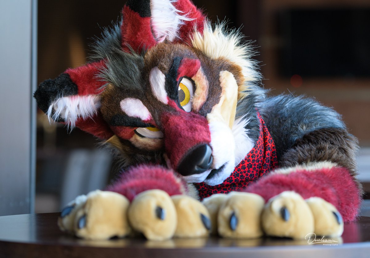 I can scratch your back if you scratch mine
📷: <a href="/Devleontheawd/">Flying doggo 🛩❄</a>