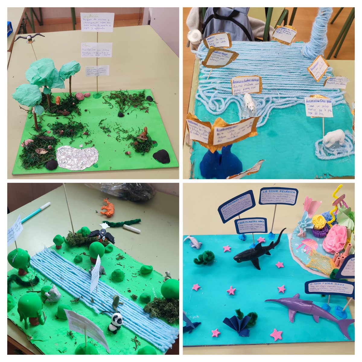 El alumnado de 1° de ESO  B ha creado estas maravillas para profundizar sobre los ecosistemas.
#somosadaja #somoseducacyl #AprenderHaciendo