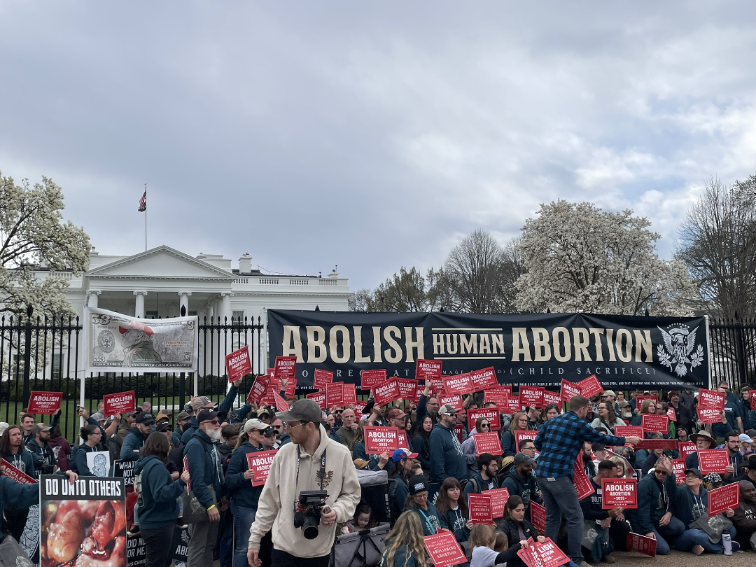🔴Michigan Pastors🔴

In the next 48 hours, if you're interested in reviewing and signing our Michigan Pastors' Statement on Abortion Abolition. 

Email us at: abolishabortionmichiganaction@gmail.com