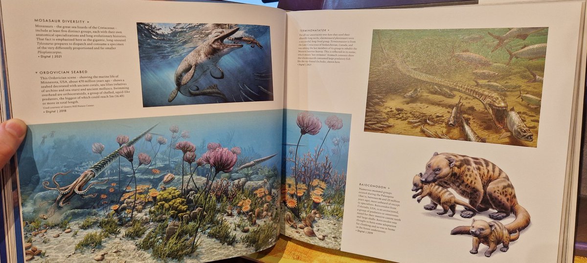 Darren Naish (@tetzoo) on Twitter photo What I am humbly regarding as the most significant, impactful and beautiful of #books devoted to #palaeoart / #paleoart - MESOZOIC ART II, edited by <a href="/sharkbitesteve/">Steve White</a> and myself, published by <a href="/BloomsburyBooks/">Bloomsbury Books UK</a> - has arrived here at Tet Zoo Towers. It's on general sale in September! What I am humbly regarding as the most significant, impactful and beautiful of #books devoted to #palaeoart / #paleoart - MESOZOIC ART II, edited by <a href="/sharkbitesteve/">Steve White</a> and myself, published by <a href="/BloomsburyBooks/">Bloomsbury Books UK</a> - has arrived here at Tet Zoo Towers. It's on general sale in September!