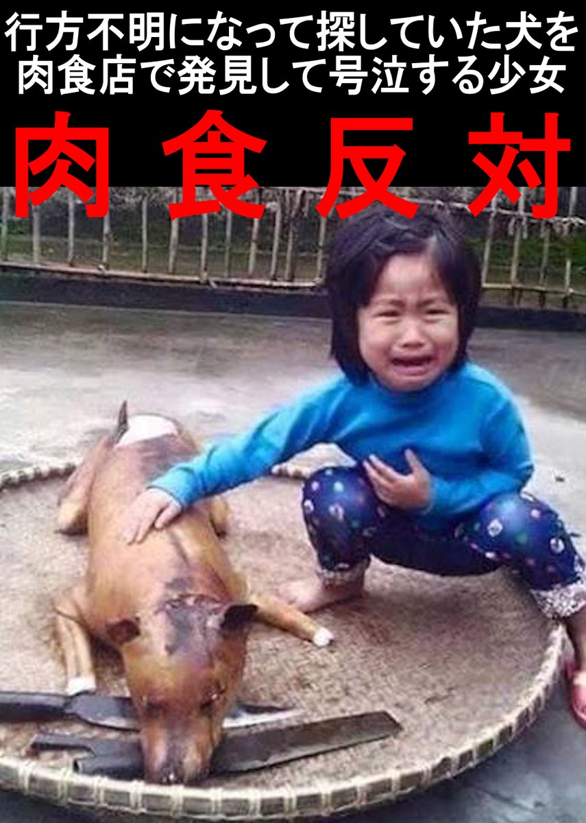 VEGANさっち～♥迫害され続ける動物の声 tweet media