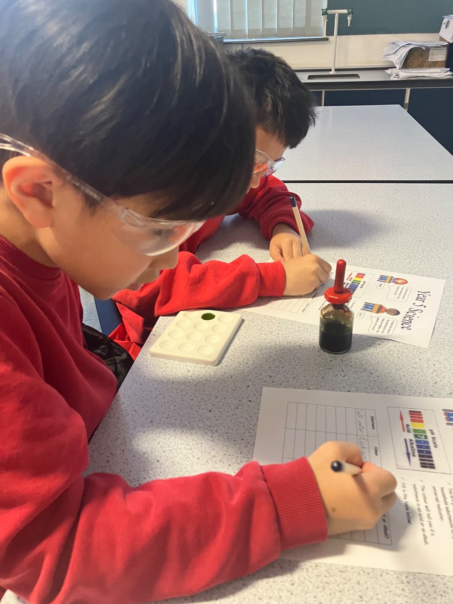 treuchafprimary tweet media