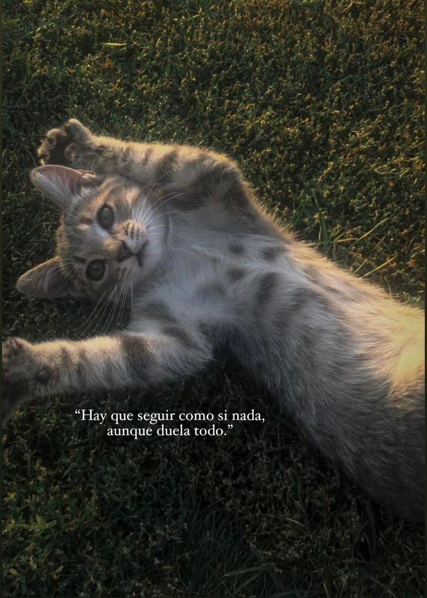 Lonely🥀 (@angelo_uf) on Twitter photo 