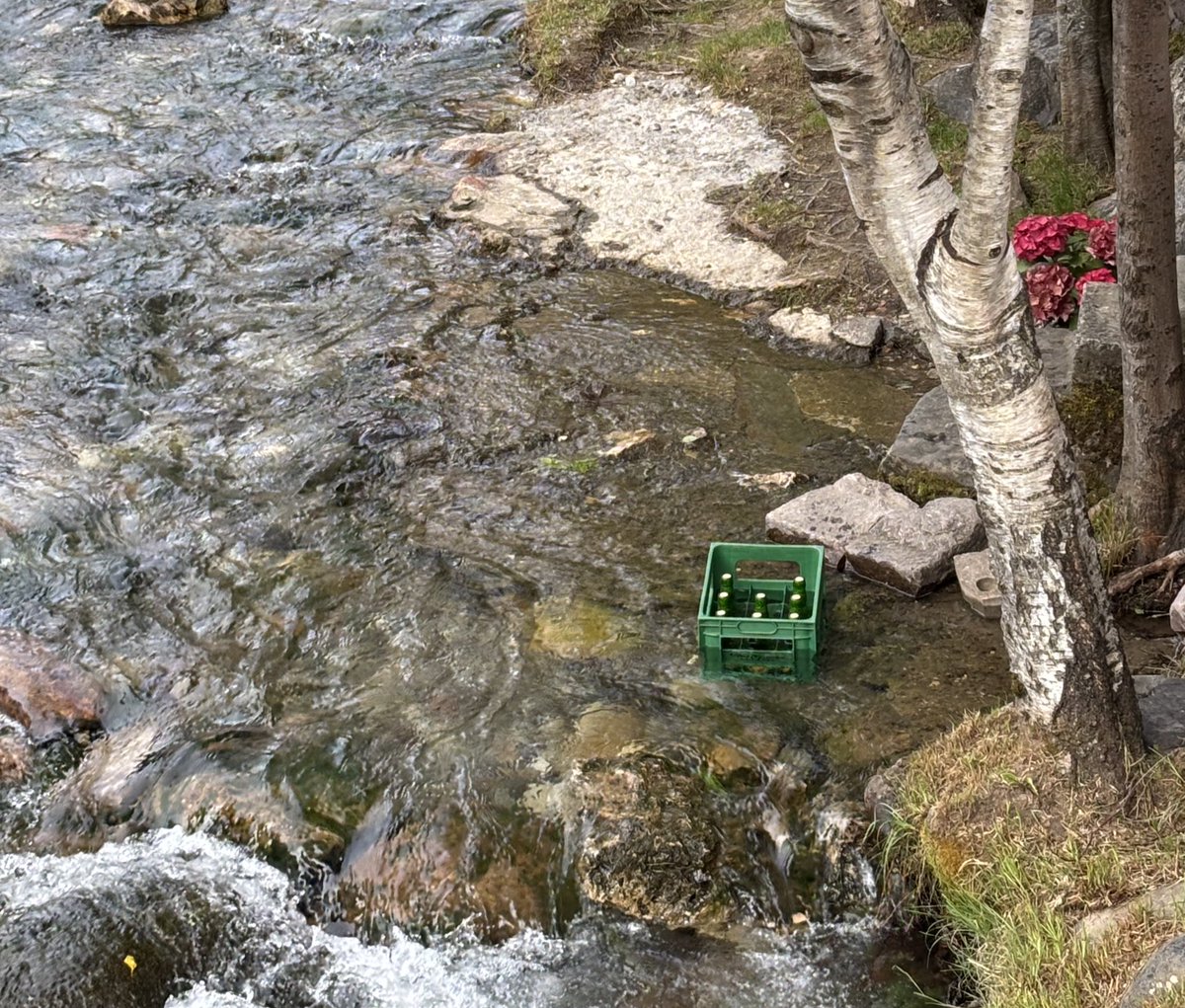 jaume_torralba's tweet image. #Ecològic