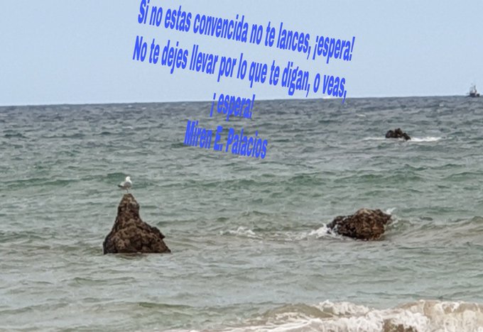 mirenepalacios's tweet photo. #Hoy y #mañana ¡Se feliz!   "La primavera camina a la par de ese tiempo, donde el compromiso se sella con un verso" Abrazo de vida 💜 #abrazodevida #feliz #poetry #poetrycommunity #writer #WriterCommunity #WritingCommunity #MirenEPalacios  👇 https://t.co/wqk3XsJdCT https://t.co/BF2uMDALKJ
