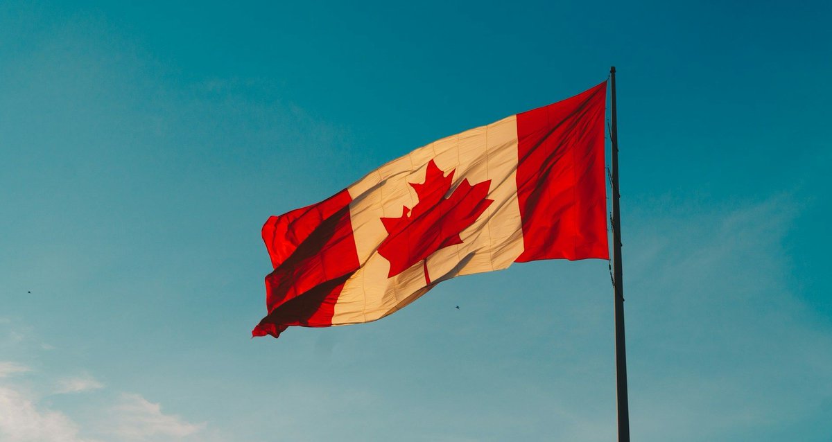 #InformationMatters Special Issue on Canadian Perspectives on Information Science informationmatters.org/si-canadian-pe…