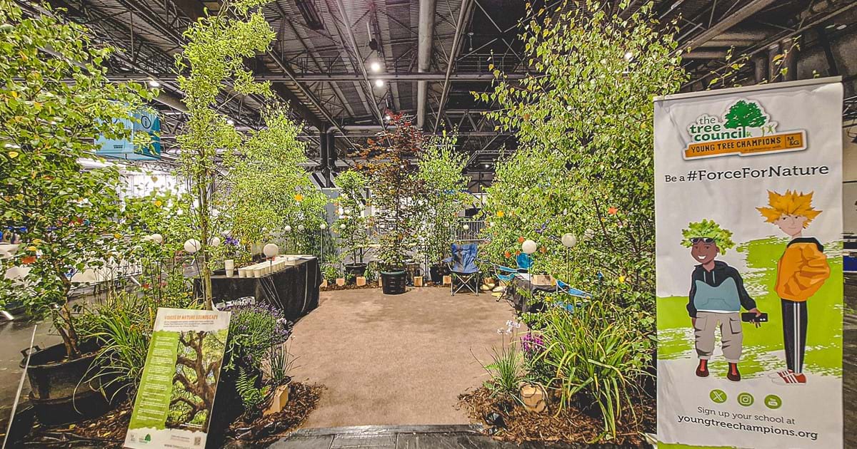 BigBangUKSTEM's tweet image. Visit @TheTreeCouncil&apos;s spectacular Woodland Glade which immerses your students in the natural world! #BigBangFair thebigbang.org.uk/the-big-bang-f…