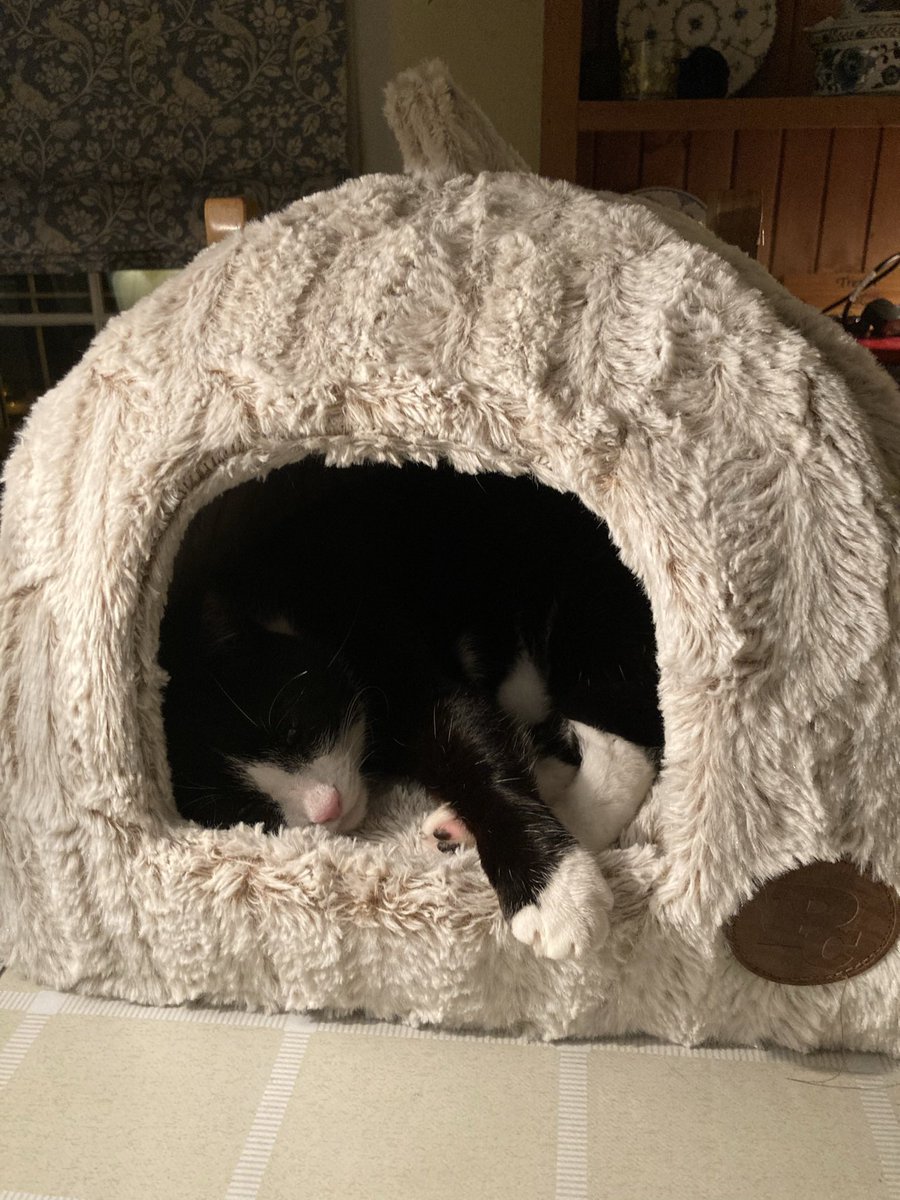 Creative Little Knits tweet media