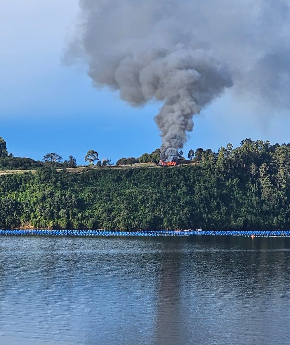 𝗔𝗛𝗢𝗥𝗔 🚨 𝗖𝗔𝗦𝗧𝗥𝗢
Unidades de emergencias trabajan en sector #Lingue, Península de Rilán por fuego estructural en vivienda. 
📷 RR.SS 
𝗣𝗥𝗘𝗖𝗔𝗨𝗖𝗜𝗢́𝗡 🚧