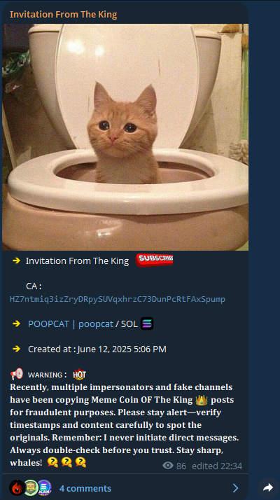 X_CryptoF's tweet photo. UPDATE  /SOL    -  $POOPCAT

💊CA : Zao13pE3B6ybmR448SVmSm2AN3ZTzw2GAEmQLkXpump

  🐳HIT   15K 📊    487K   🌈

  🔊 WIN :  33X   ✅

Link to join private channel : https://t.co/m9IFj9QEiw

DM ADMIN :  https://t.co/woEF0igoLP 

 #memecoin #btc #POOPCAT
 #SOL #Phanes #Rick #CryptoNews #Solana