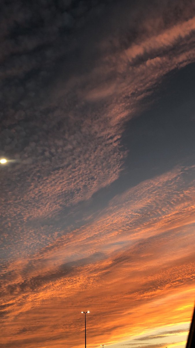 Close (@c_ol_) on Twitter photo 