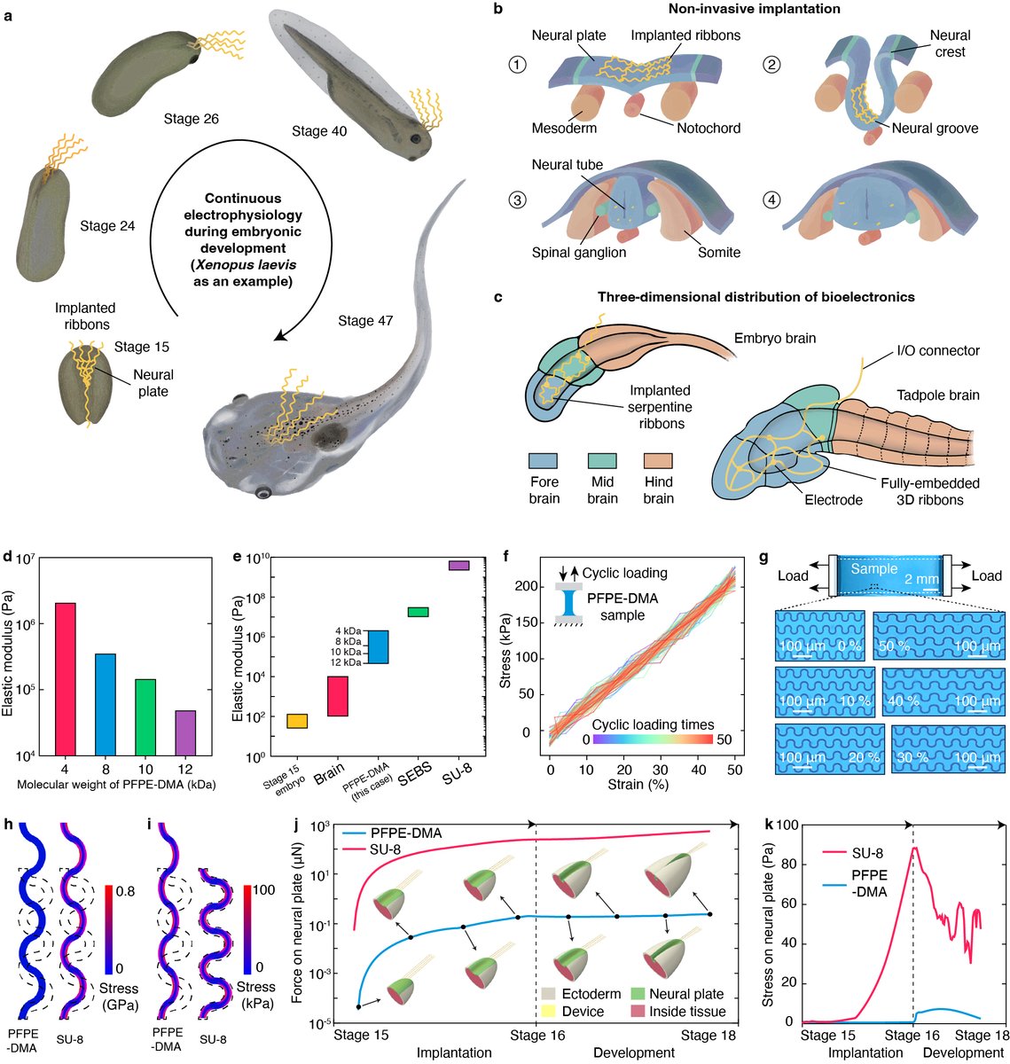 Hao Sheng tweet media