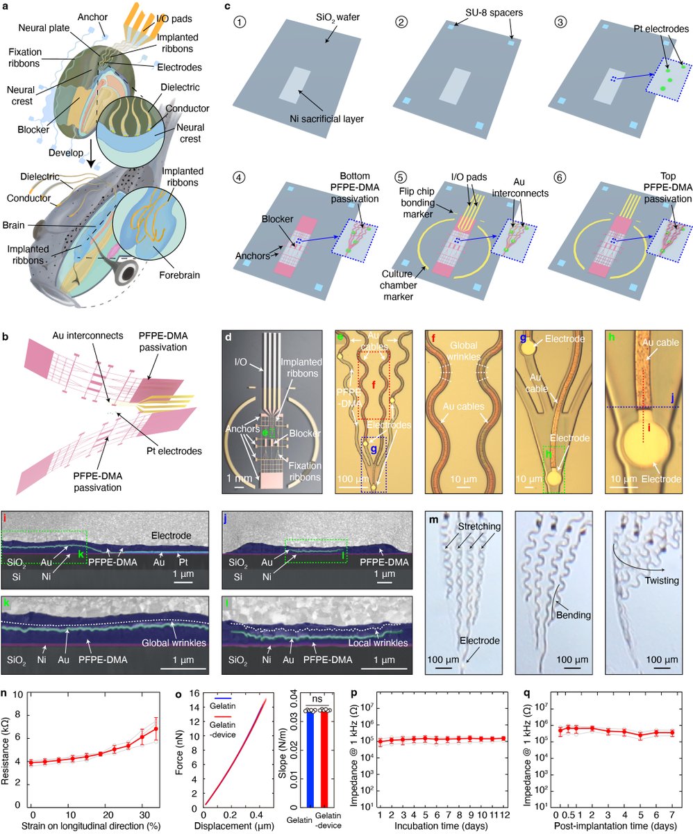 Hao Sheng tweet media