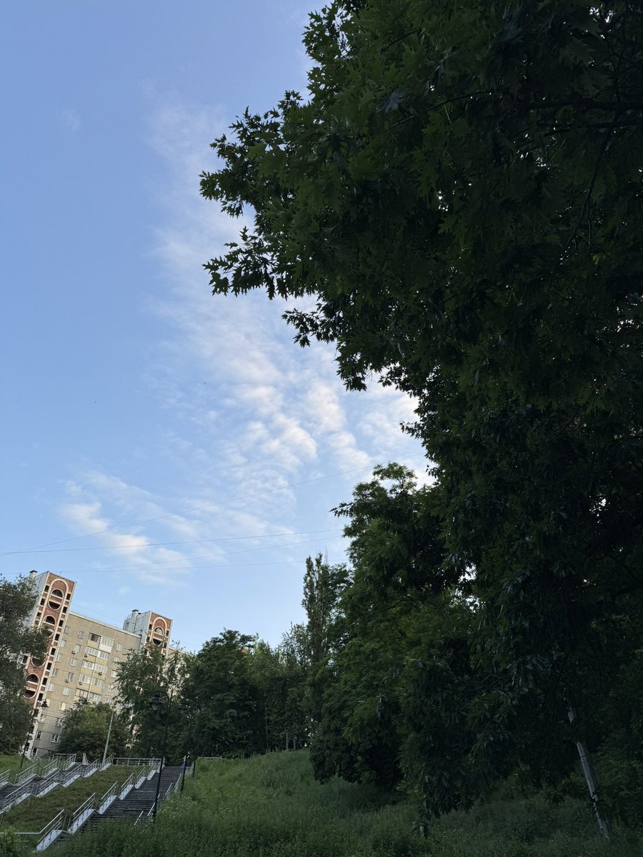 нагадую про потребу гуляти на природі, дихати повітрям та чіпати траву