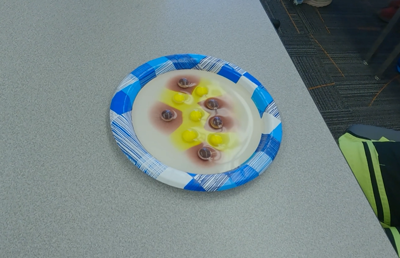 ISU_WFT's tweet image. The Hands-On Electronics Fun class did an experiment with skittles to explain the function of semiconductors and diffusion!

This class is still available in the Summer session. You can sign up this class here: hubs.la/Q03rRYVc0

#IgniteTheirFuture