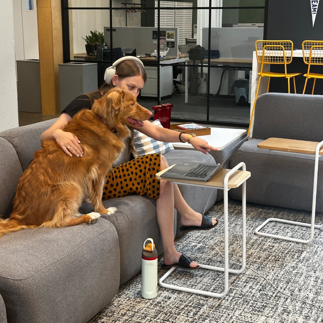 AI won't steal our jobs. But the doggos might...