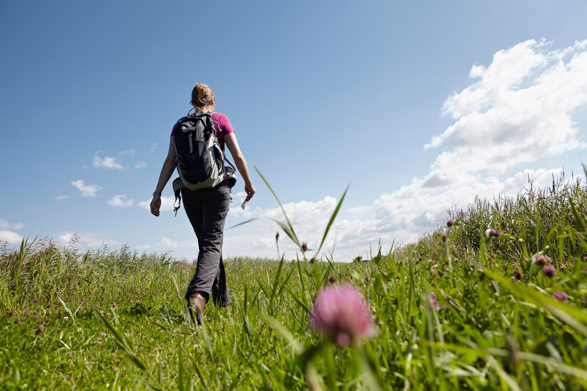 Zomer = wandeltijd! 🌞 De zomer is hét seizoen om je wandelschoenen aan te trekken en de natuur in te duiken. 🥾 Het is meestal goed wandelweer en overal om je heen zie je de natuur in volle bloei staan 🦋. Bekijk hier 5 wandeltips 👉 wandelnet.nl/blogbericht/20…

📷  Jonathan Andrew