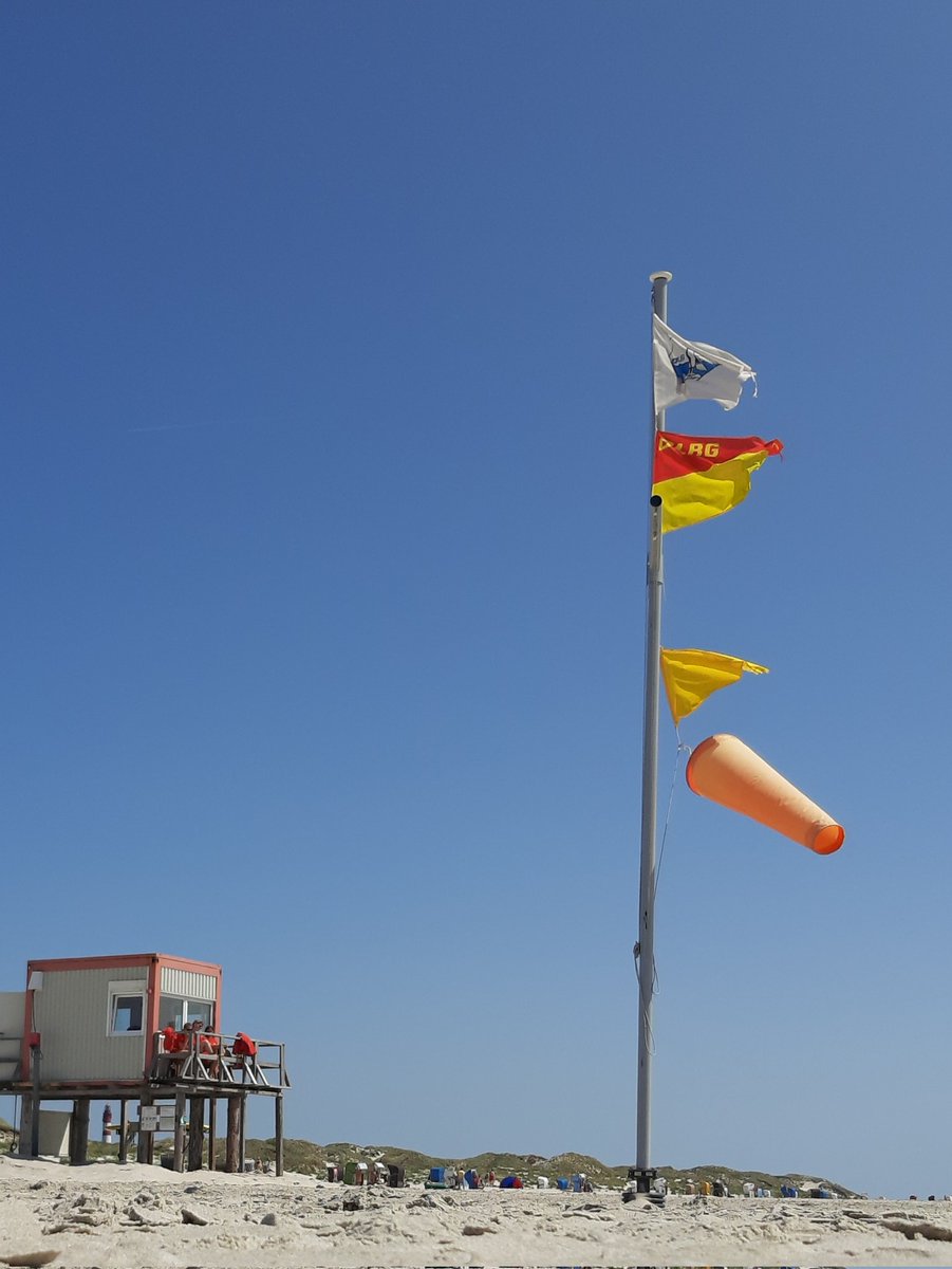 Swimming and chilling