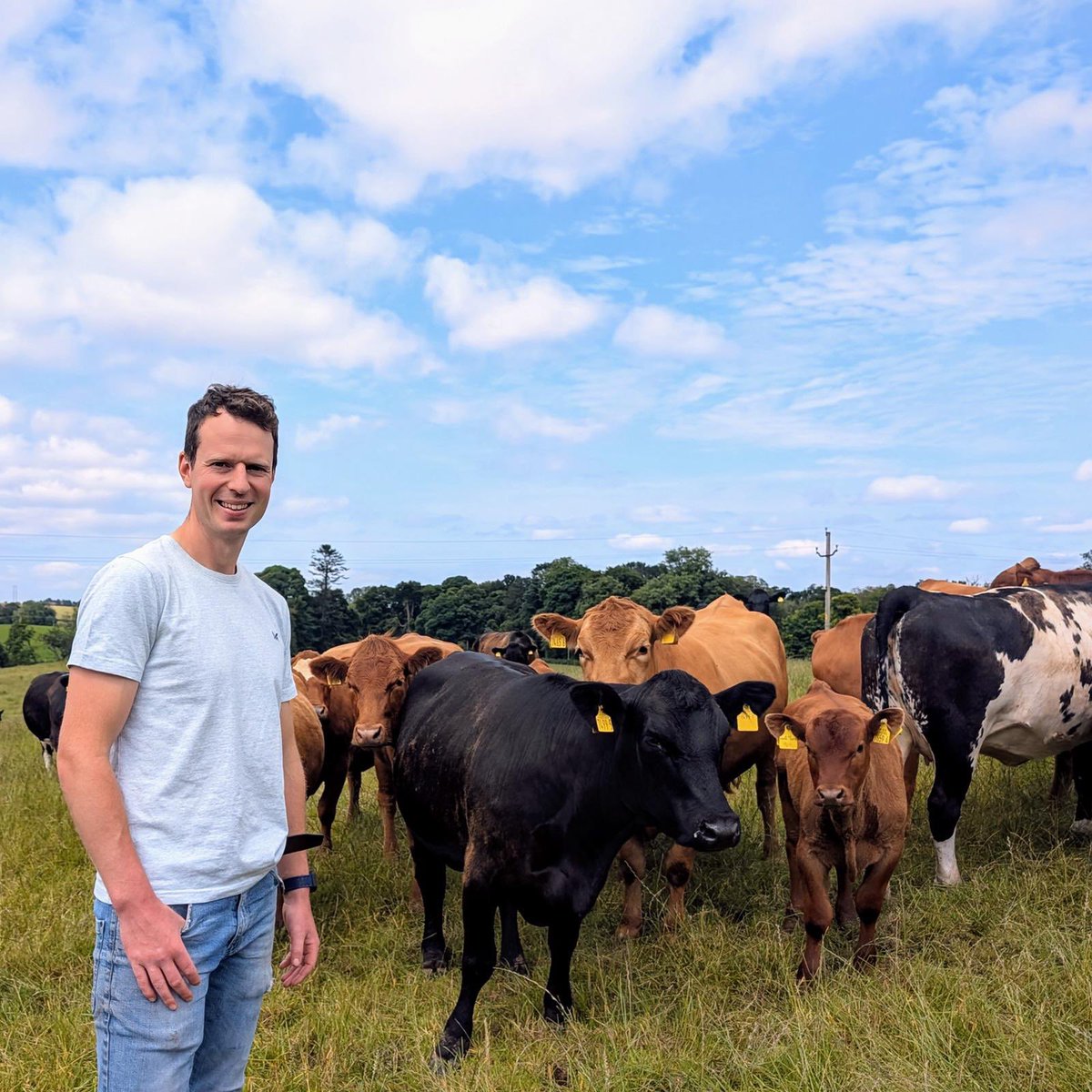 Ulster Grassland Society tweet media