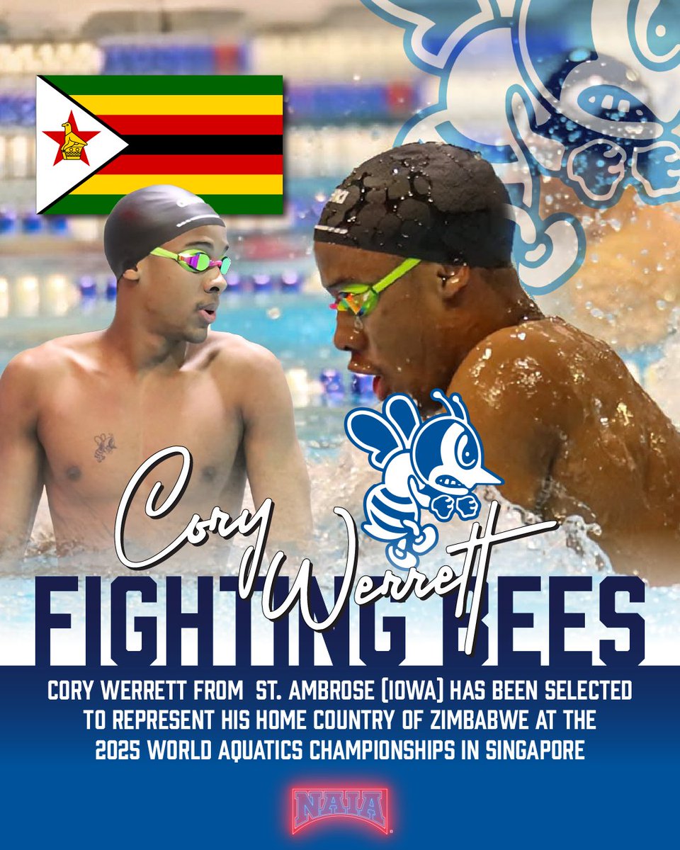 ZIMBABWE ➡️ IOWA ➡️ SINGAPORE 

Congratulations to Cory Werrett from St. Ambrose (Iowa) for being selected to represent Zimbabwe at the 2025 World Aquatics Championships in Singapore! 

Let's go, Cory! 

Learn more here: saubees.com/sports/mswimdi…

📷 : Tim Blasen