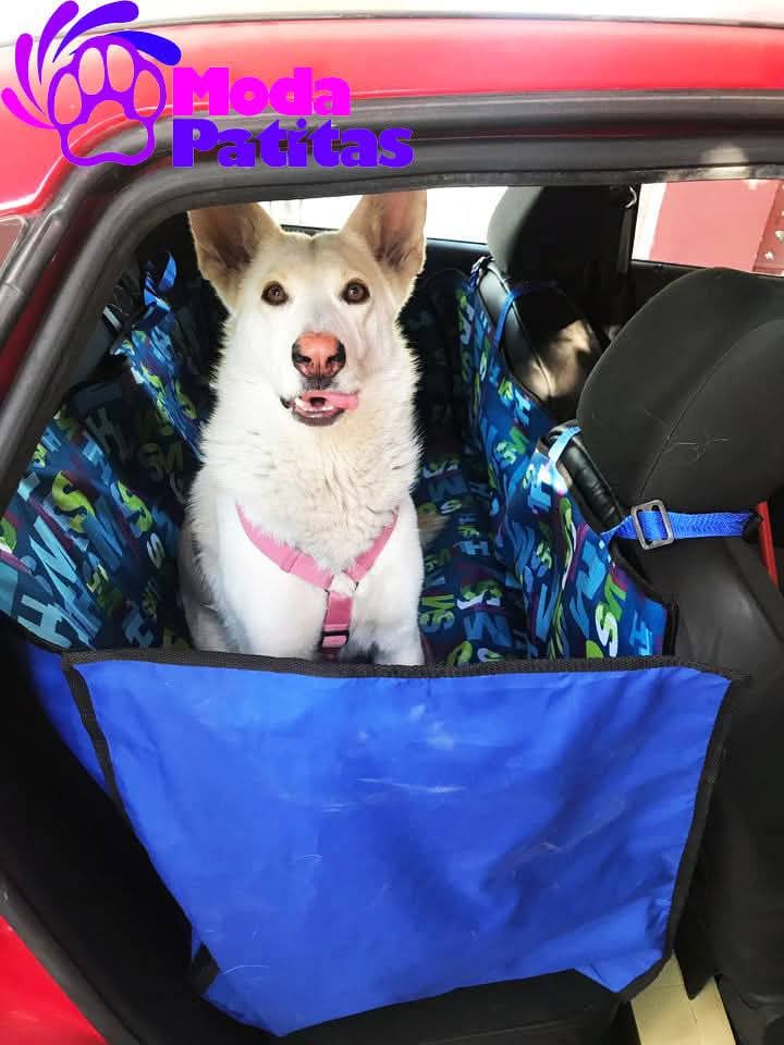 ModaPatitas1's tweet photo. Para estás vacaciones en las que quieres que te acompañe tu mascota 🐶🐩🐱 te ofrecemos tapetes cubre asientos para autos ideales y prácticos que ya puedes conseguir o encargar en variedad de estampados en Veterinaria El Lobo Torreón y @KINKAN_torreon https://t.co/DPGSMS7YrH
