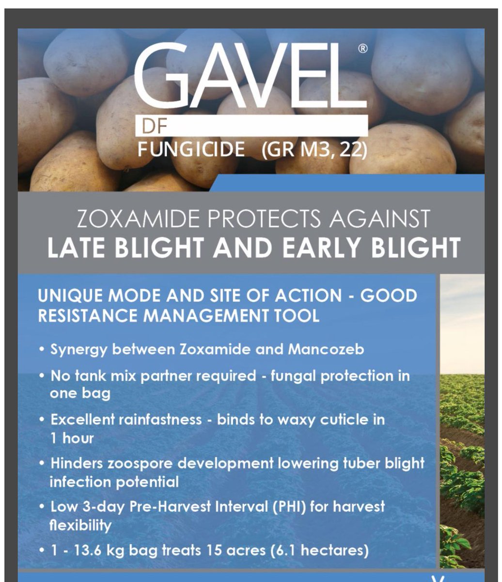 Ray Janssen (@ray_janssen) on Twitter photo Gavel by Gowan Canada Gr M3 & 22 fungicide for Early Blight and Late Blight control in Potatoes and Downey Mildew Control in Grapes and Onions @potato @grape <a href="/onion/">Onion</a> <a href="/gowancanada/">Gowan Canada</a> <a href="/Gowan_QC_Marit/">Gowan Canada - Quebec & Maritimes (Slim Doghri)</a> <a href="/Wes_Lewis10/">Wes Lewis</a> <a href="/LeonzioRyan/">Ryan Leonzio</a> <a href="/thegreenwisp/">Lulu</a> Gavel by Gowan Canada Gr M3 & 22 fungicide for Early Blight and Late Blight control in Potatoes and Downey Mildew Control in Grapes and Onions @potato @grape <a href="/onion/">Onion</a> <a href="/gowancanada/">Gowan Canada</a> <a href="/Gowan_QC_Marit/">Gowan Canada - Quebec & Maritimes (Slim Doghri)</a> <a href="/Wes_Lewis10/">Wes Lewis</a> <a href="/LeonzioRyan/">Ryan Leonzio</a> <a href="/thegreenwisp/">Lulu</a>