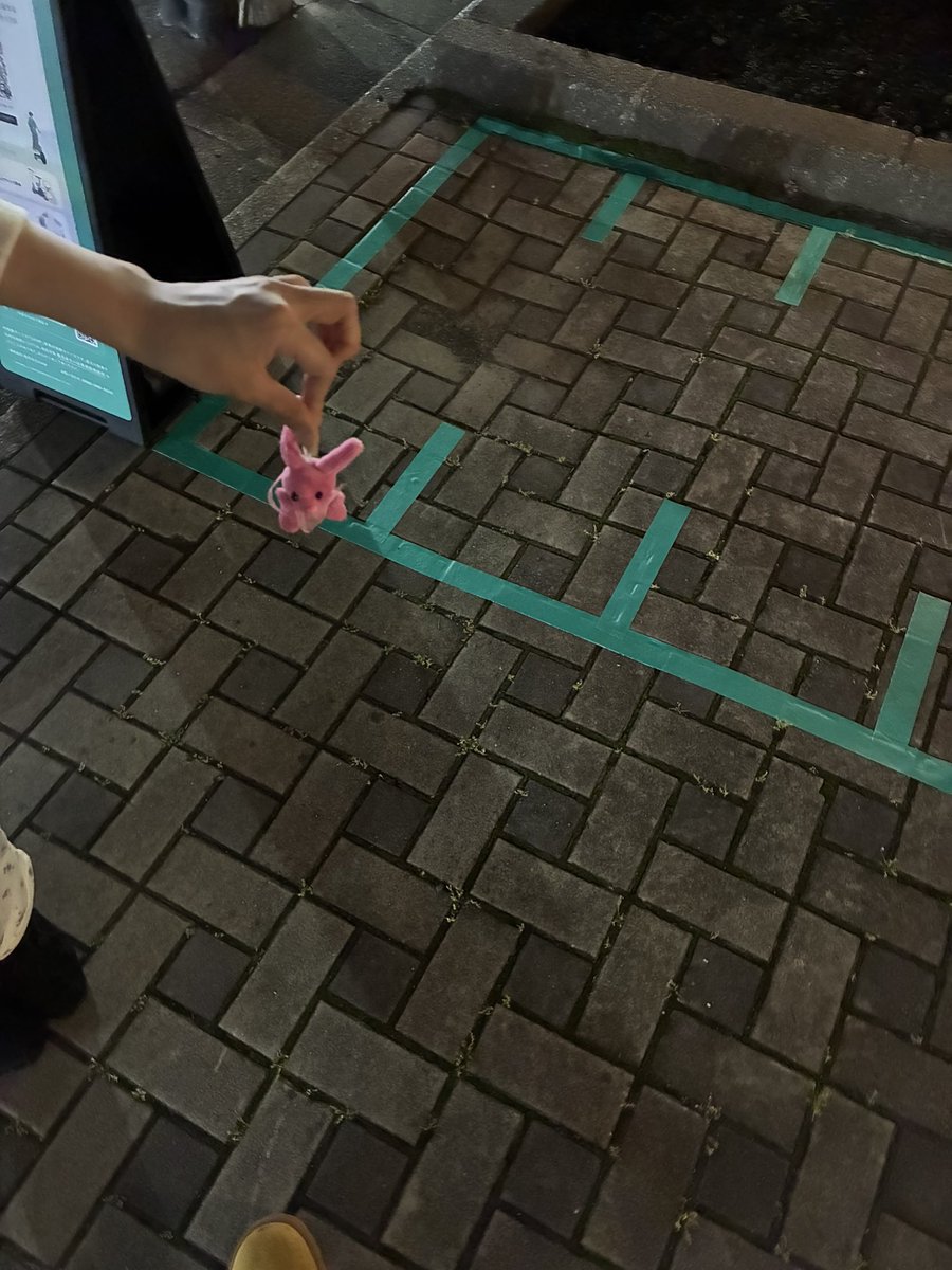 家にLOOPステーションできた