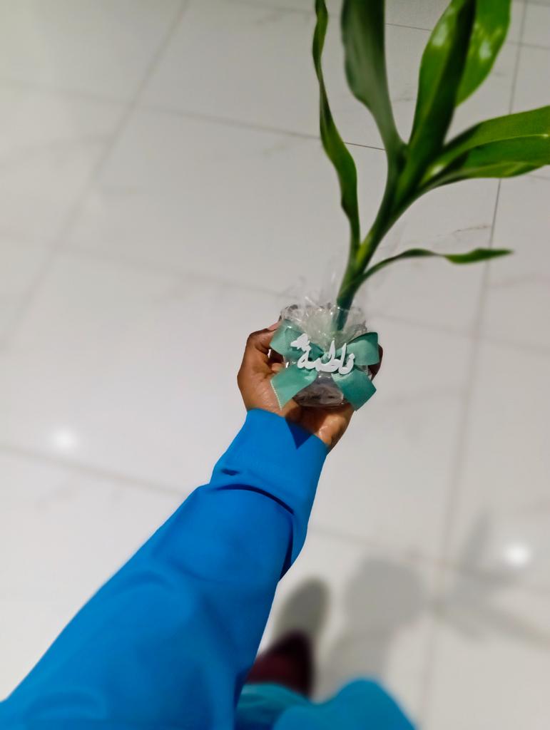 ♪أوتآر هادئهہ♪ (@chcjvjvk) on Twitter photo 