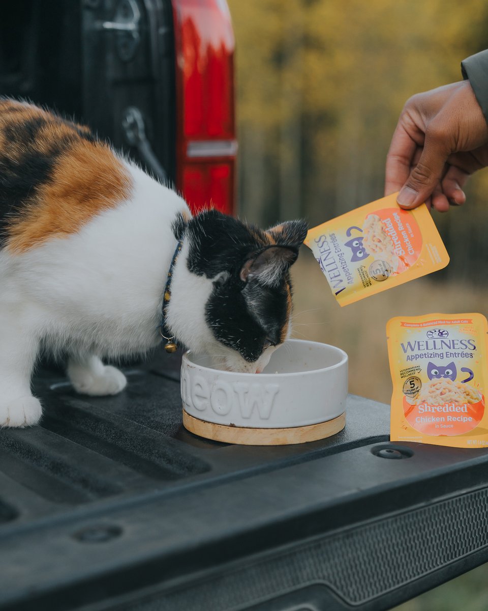 Hydrating meals mid adventure? Take Appetizing Entrees with you wherever your summer happenings may lead you 🏕️