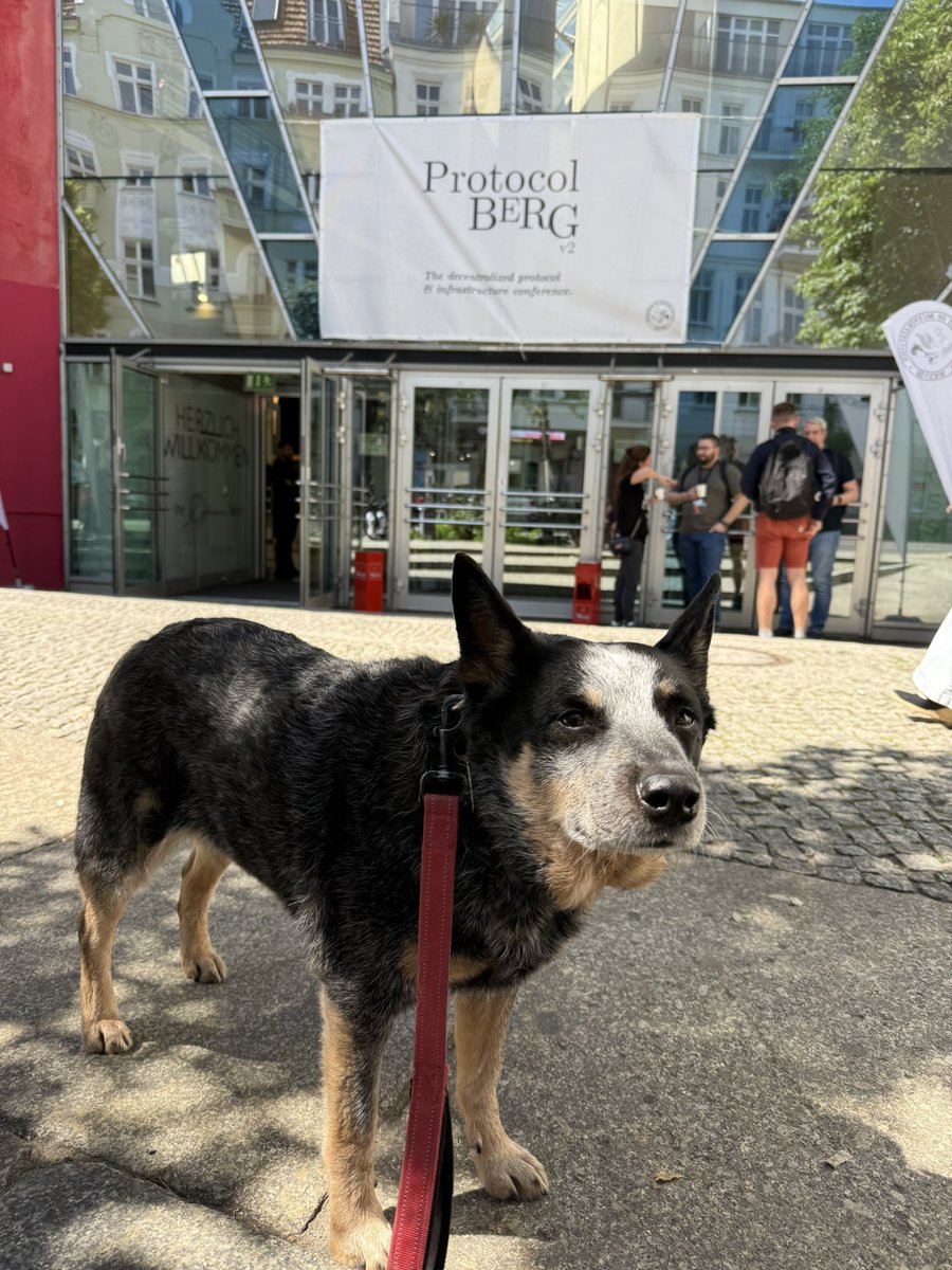 OnChainAlexey's tweet photo. My networking manager Bali and I are attending Protocol Berg during Berlin Blockchain Weeks. I’m genuinely impressed by the quality of the event - strong speakers, important topics, and a great crowd. If you’re around, let’s connect!
#BerlinBlockchainWeeks #ProtocolBerg https://t.co/ACsRcL6DVt