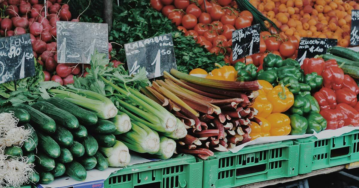 Curious about starting a plant-based diet? You might be surprised by how much a greener plate can support your health goals.

Dive into our latest blog to explore the powerful benefits – and common misconceptions of a plant-based diet: bit.ly/42lzoyO