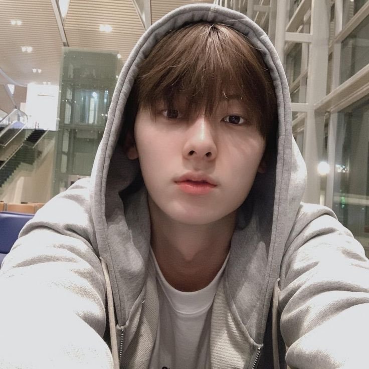 민들레 tweet media