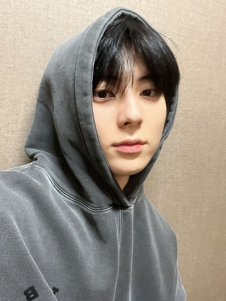 민들레 tweet media