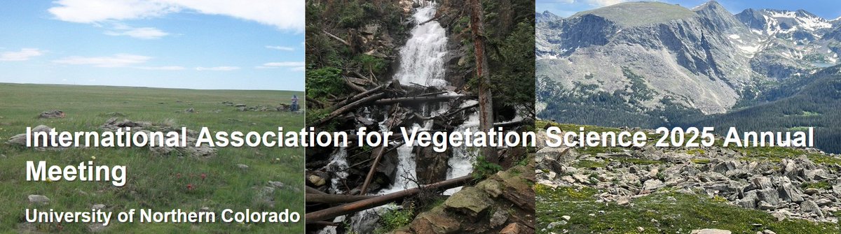 🌍 Can’t travel to Colorado for #IAVS2025?
Join us online for a Virtual Session on Monday, 28 July!
An inclusive opportunity to share your science &amp; connect with the global vegetation community 🌱
📅 Save the date!
🔗shorturl.at/kUHSD
#VegetationScience #VirtualEcology