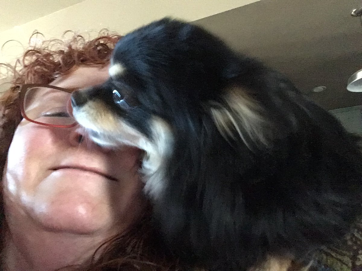 #ThrowbackThursday just a little throwback of Angel 😇 Tank. He was my little boy. #dogsofx #ForeverLoved #TankandPuggie