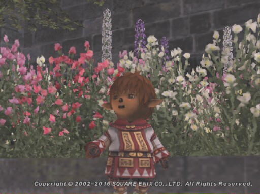かわいいたる～～～(*´ω`*)
#FF11