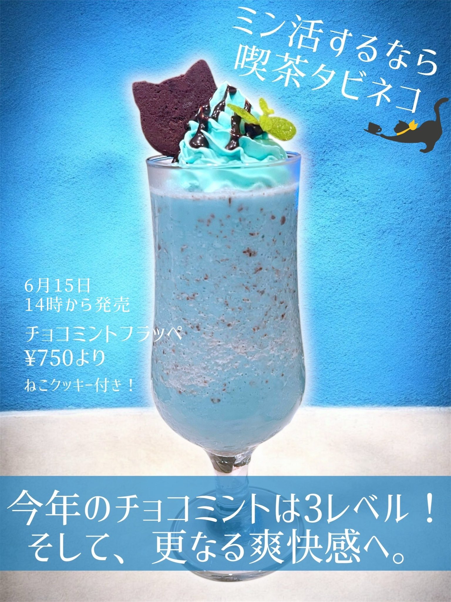 𝗖𝗵𝗼𝗰𝗼𝗺𝗶𝗻𝘁𝗲𝗿 | . 塩ミントチョコレート🍫🍃 爽やか