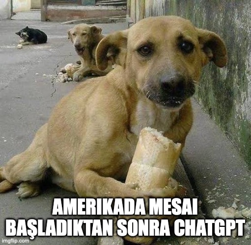 Gündüz kullanımı ile akşam kullanımı arasındaki output farkı şaka gibi.