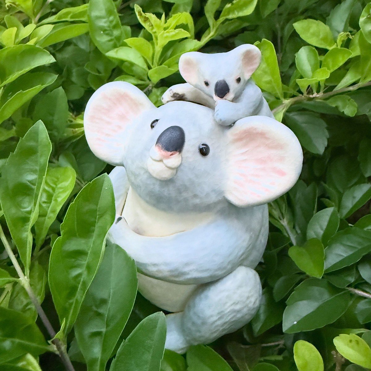 chirpysasalin's tweet image. ふくちゃん、お誕生日おめでとう🎉
6歳になりました🥰
さちちゃんと 幸せな一年を
お過ごしになりますように🐨🐨

@soratobu_neko_izumin さんの
『ふく・さち』作品は
先月香港で開催されたHKICS9
イベントで入手しました🥰
ふく・さち親子の作品は本当に
素晴らしい🤩