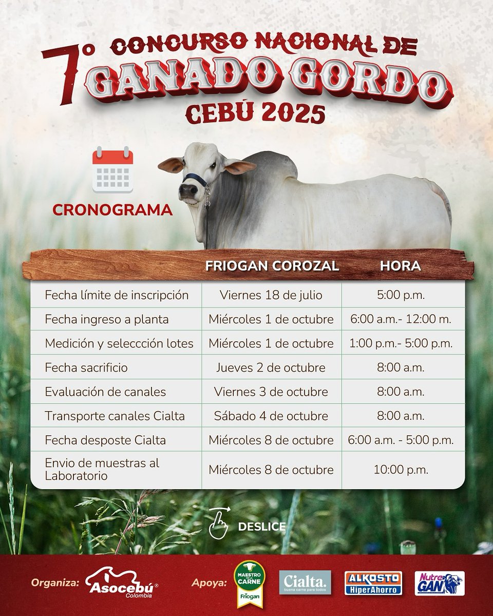 Asocebú Colombia tweet media