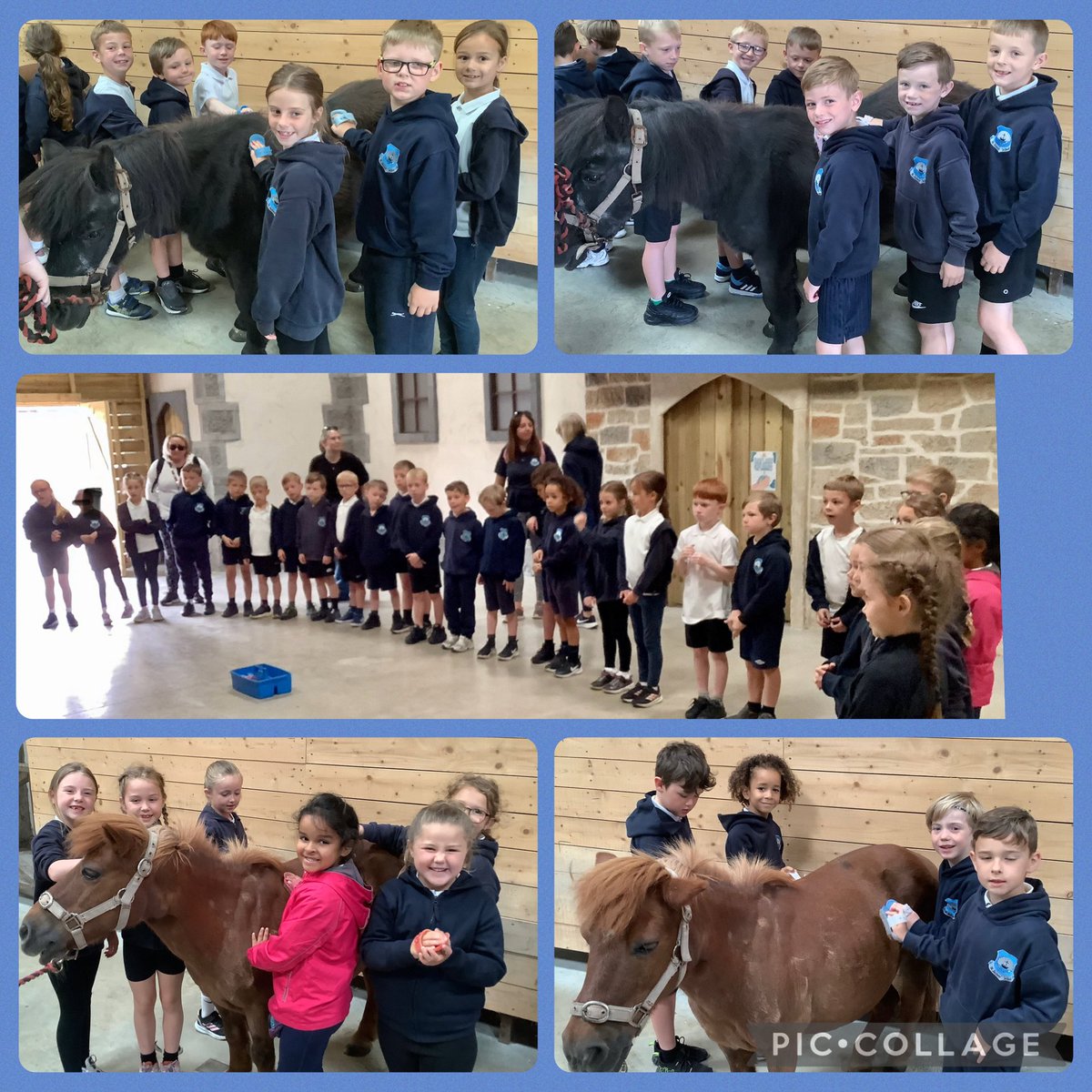 OSJ_Y2's tweet photo. A lovely trip to Farmer Ted’s. https://t.co/BBLldn7RYB