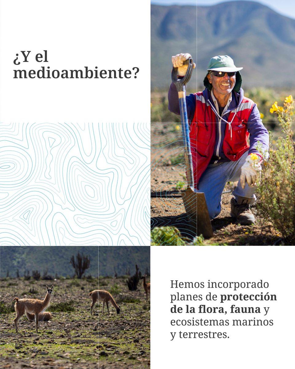 conocedominga (@conocedominga) on Twitter photo 