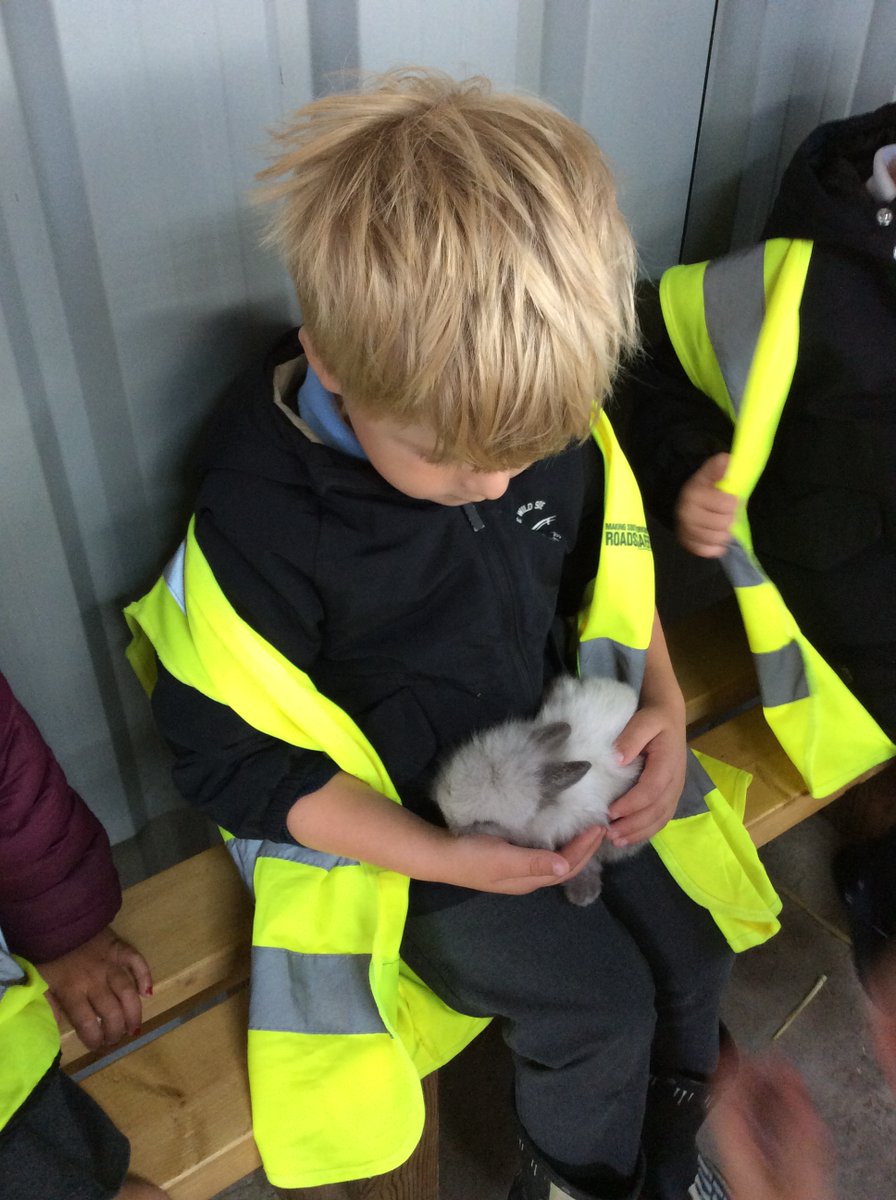 Rosedale Primary School tweet media