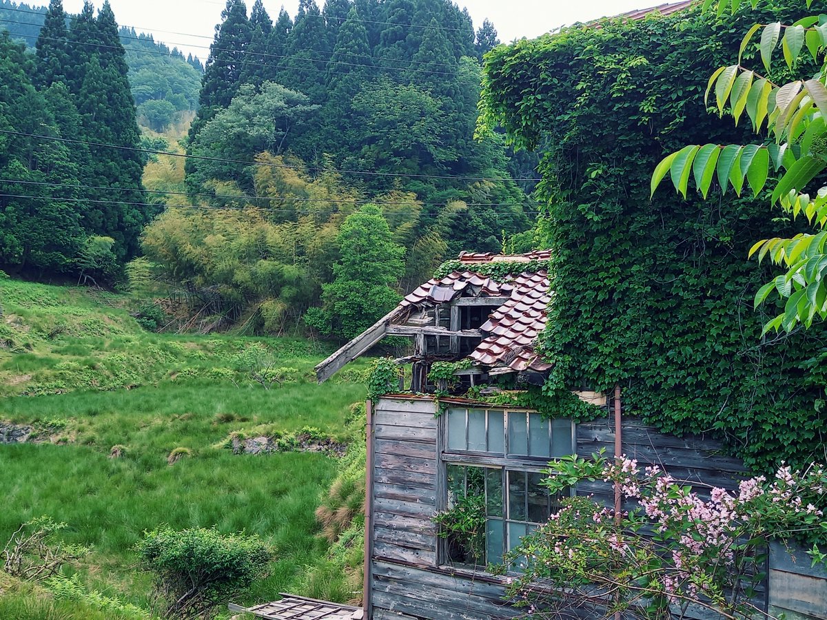 HYBSNBW's tweet photo. おっそろしい県道と廃村ドライブ

兵庫県北部、美方郡加美町と新温泉町を結ぶ約9kmの「兵庫県道550号熊谷味取線」
車で走るにはあまりにも恐ろしく荒れた道でした。
そしてそんな道の先にあったのは、かつて栄えた村の痕跡でした。

以下スレッドに続きます。↓ https://t.co/1PPojoj6s2